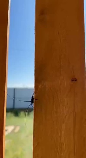#      !    ?