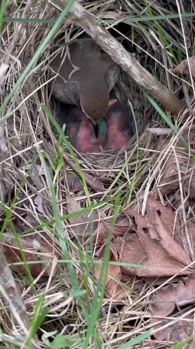 #:       -