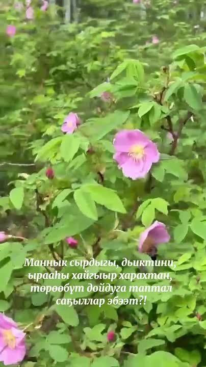    !
