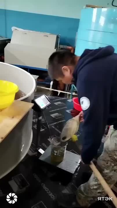   :      