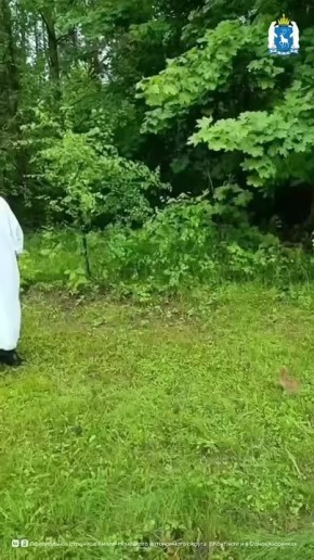 #:  -    ?