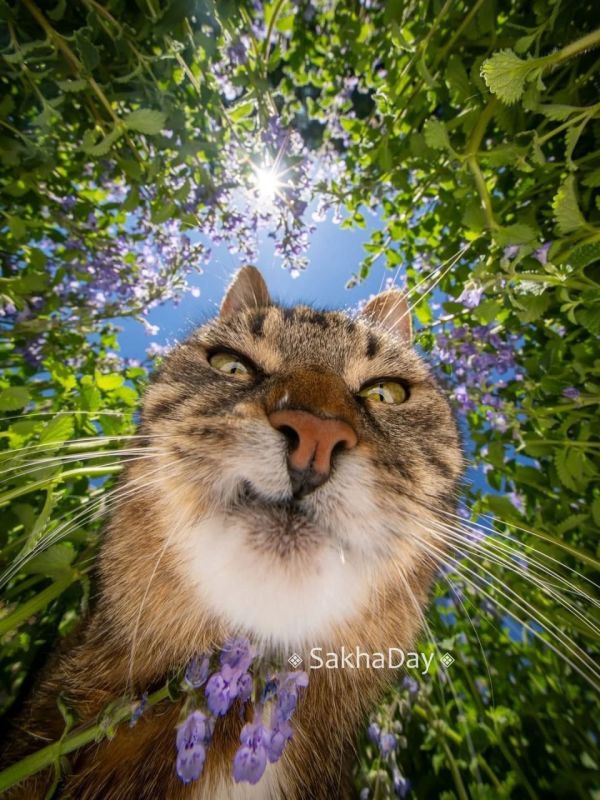   .      # @sakhaday