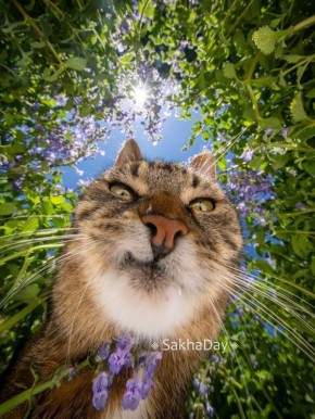   .      # @sakhaday