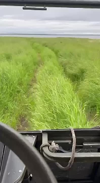   ..       