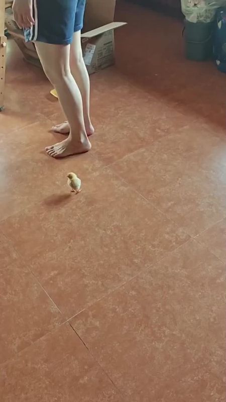 #:      !