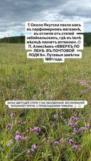 : tuyas_oktuyas_ok,   