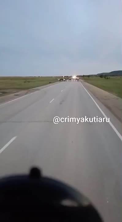       -:   