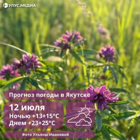      12 : , ,   