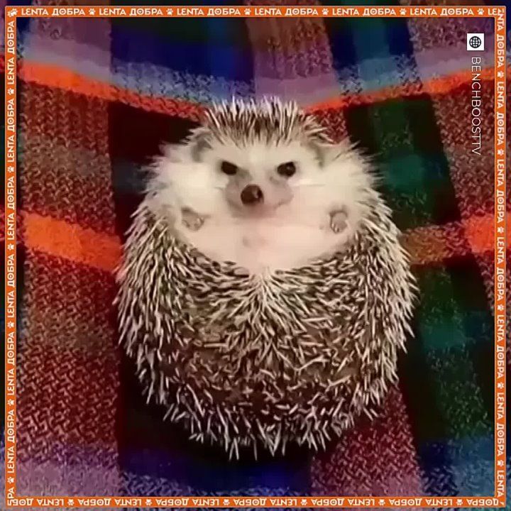   =  .      