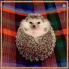   =  .      