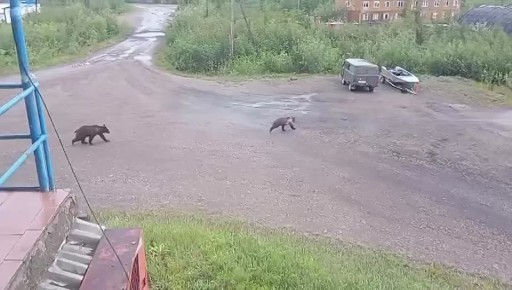           :
