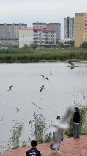   . @sakhaday