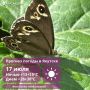     17 :   ,    