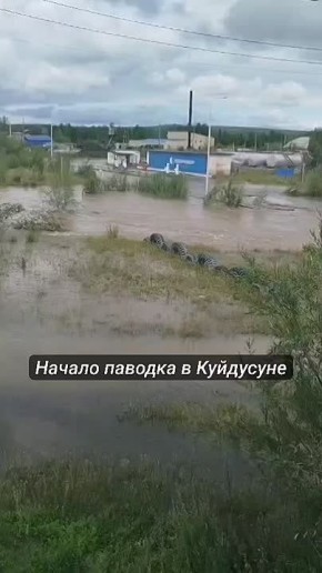    :     