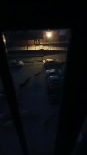 #.    - ,    ?    ,  ,  ,   