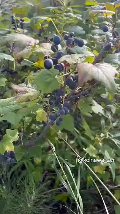 #:     