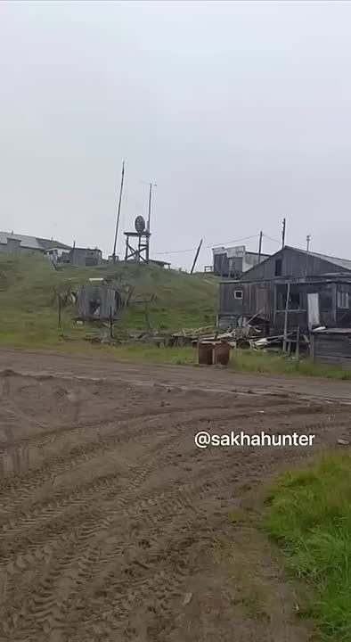    :            