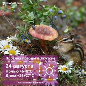      ,      :      24 