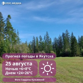    :   +29,    