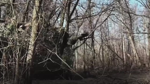   !. ,   ,         ,   , , ,  