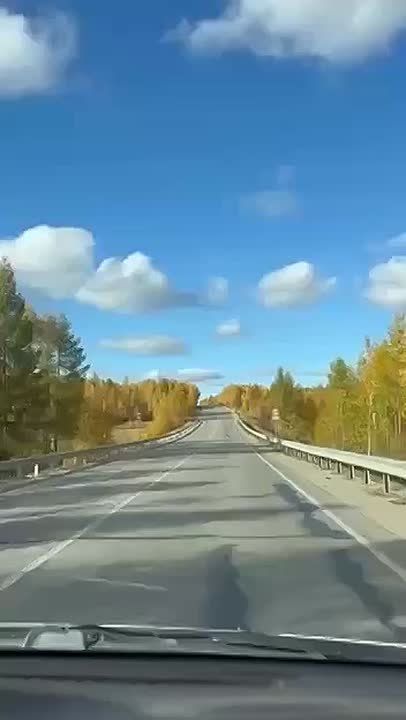    .  