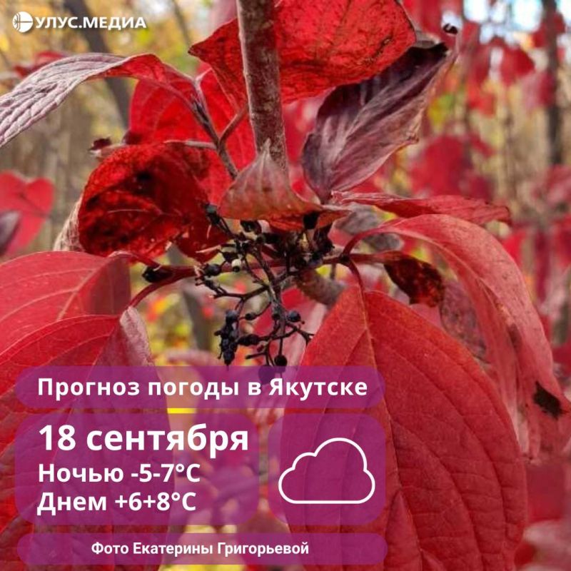    18 :    ,     