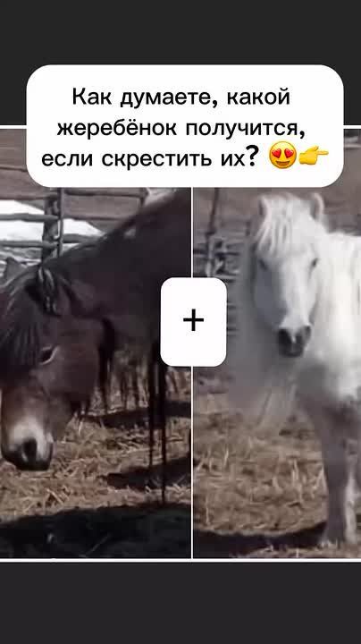   ,     ?   !