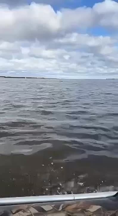 #   ,                