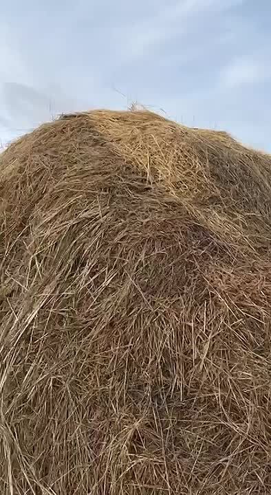 #.      