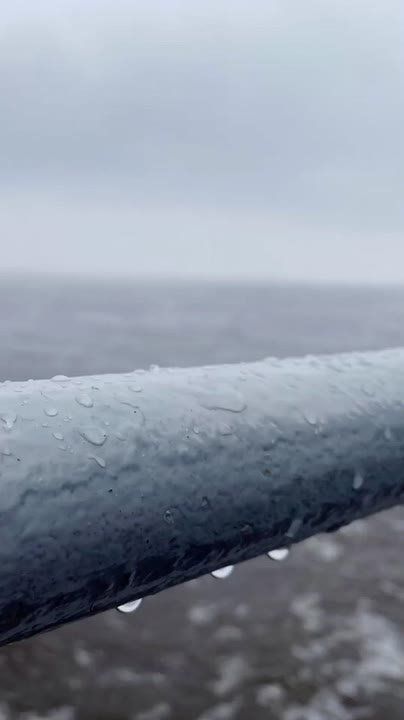    &quot;   &quot;            .