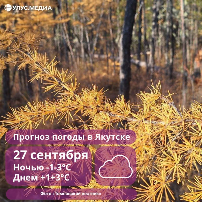      27 :       