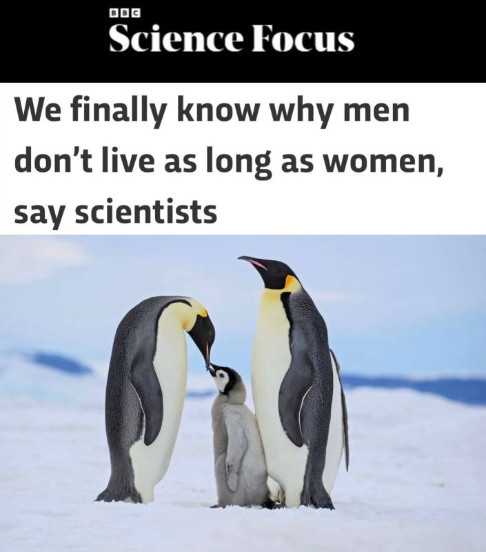   ,     :     