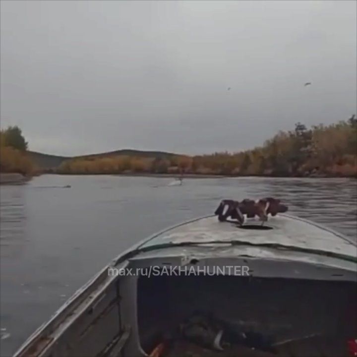 #:     