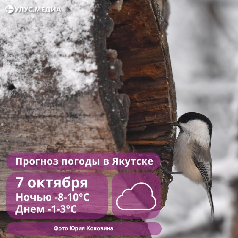        -10 