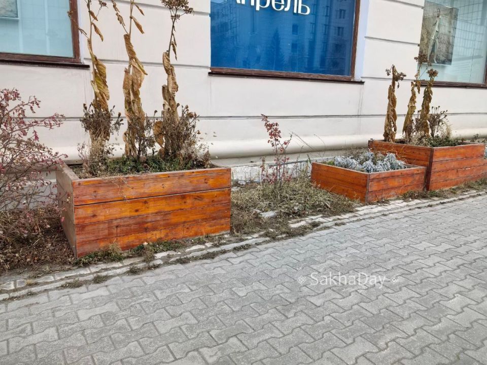 #    ,    