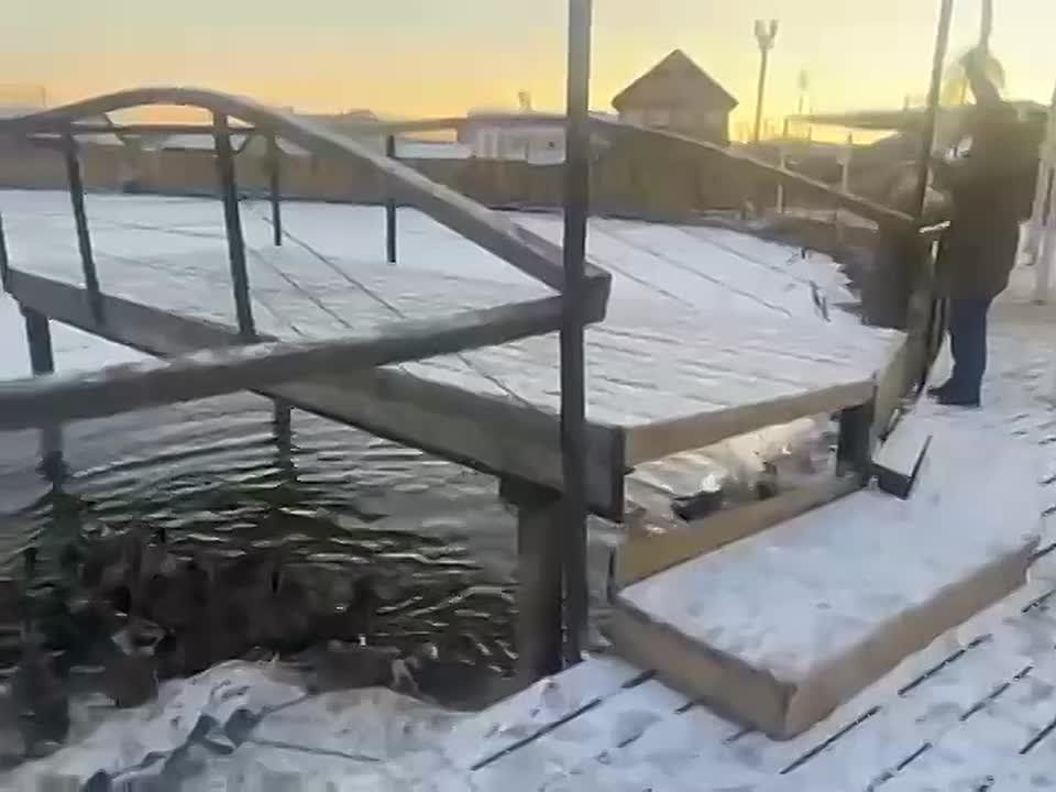         ,    