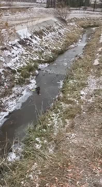 #.   -    