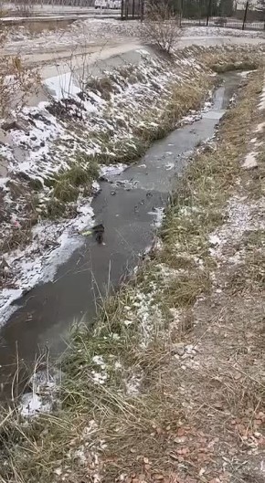#.   -    