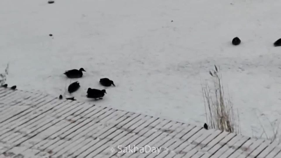 #  ,    