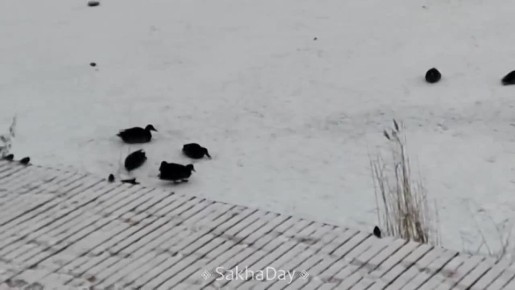 #  ,    