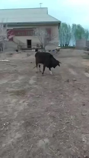  -  ?   !