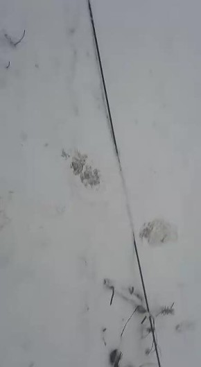 !       