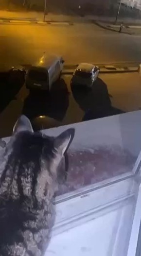   ,        2   #