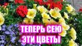 10     :    