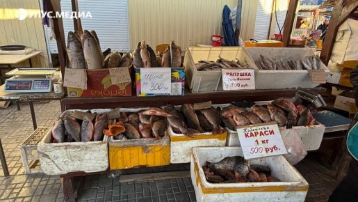 Обзор цен на Крестьянском рынке