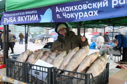 Киин куоракка с кннээх дьаарбакаа 60-ча туонна балык атыыланара сабааланар