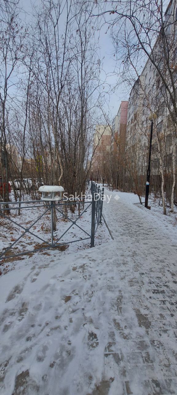 Наш подписчик установил новую кормушку взамен разбитой (на посл.фото). @sakhaday Наш подписчик установил новую кормушку взамен разбитой (на посл.фото). @sakhaday