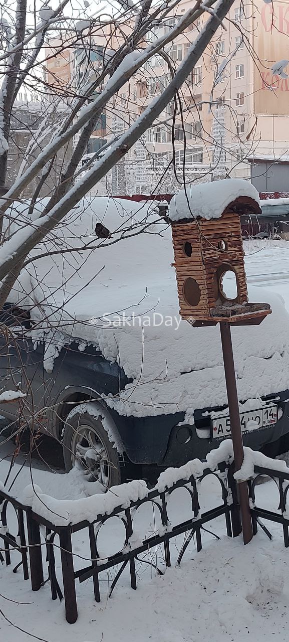 Наш подписчик установил новую кормушку взамен разбитой (на посл.фото). @sakhaday Наш подписчик установил новую кормушку взамен разбитой (на посл.фото). @sakhaday