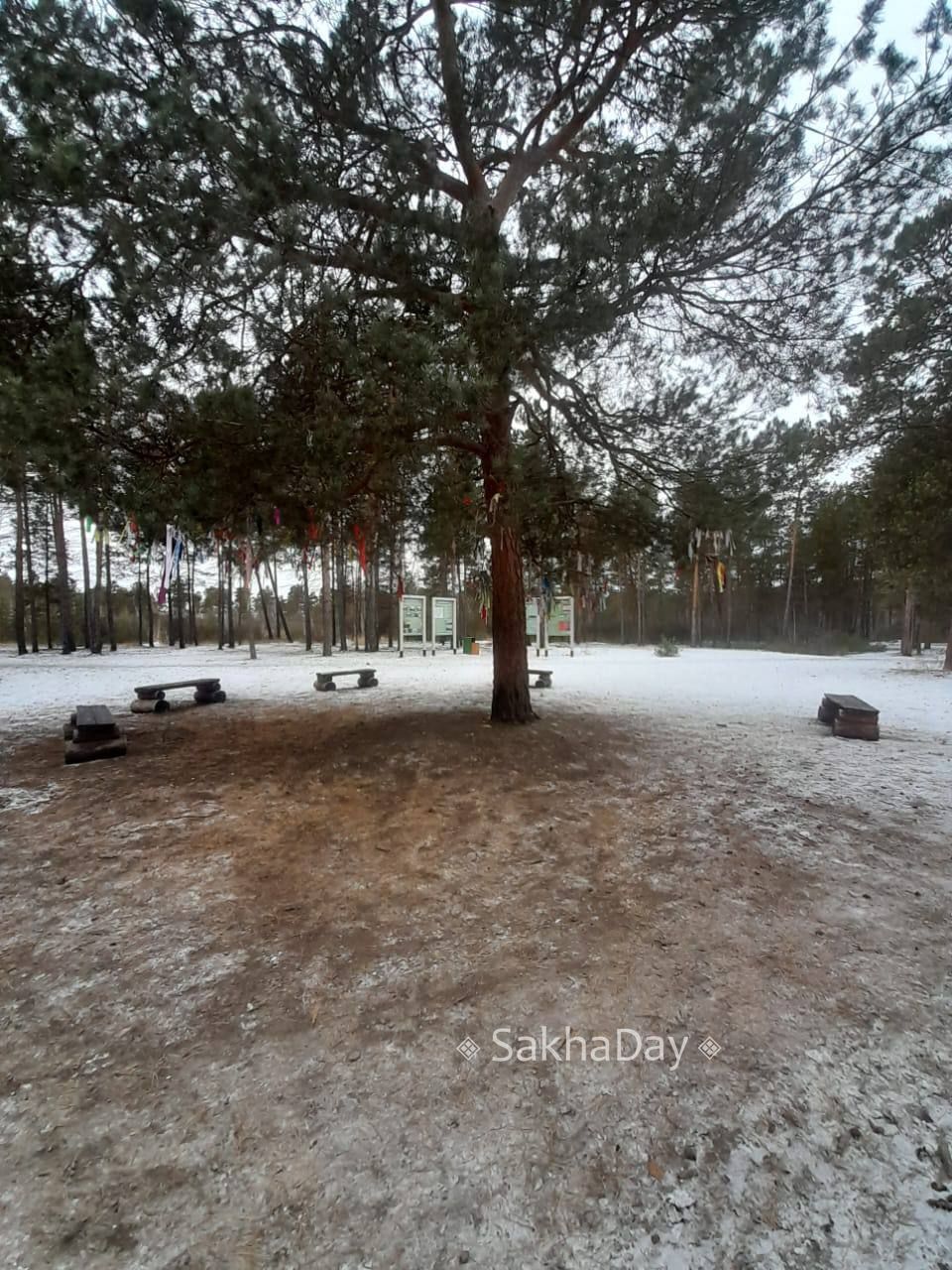 Сегодня в парке Якутска. #дляsakhaday Сегодня в парке Якутска. #дляsakhaday