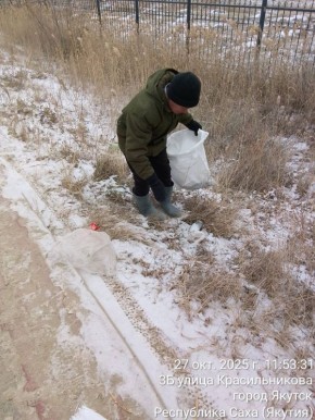 Ежедневная уборка мусора муниципальными дворниками на территории Автодорожного округа